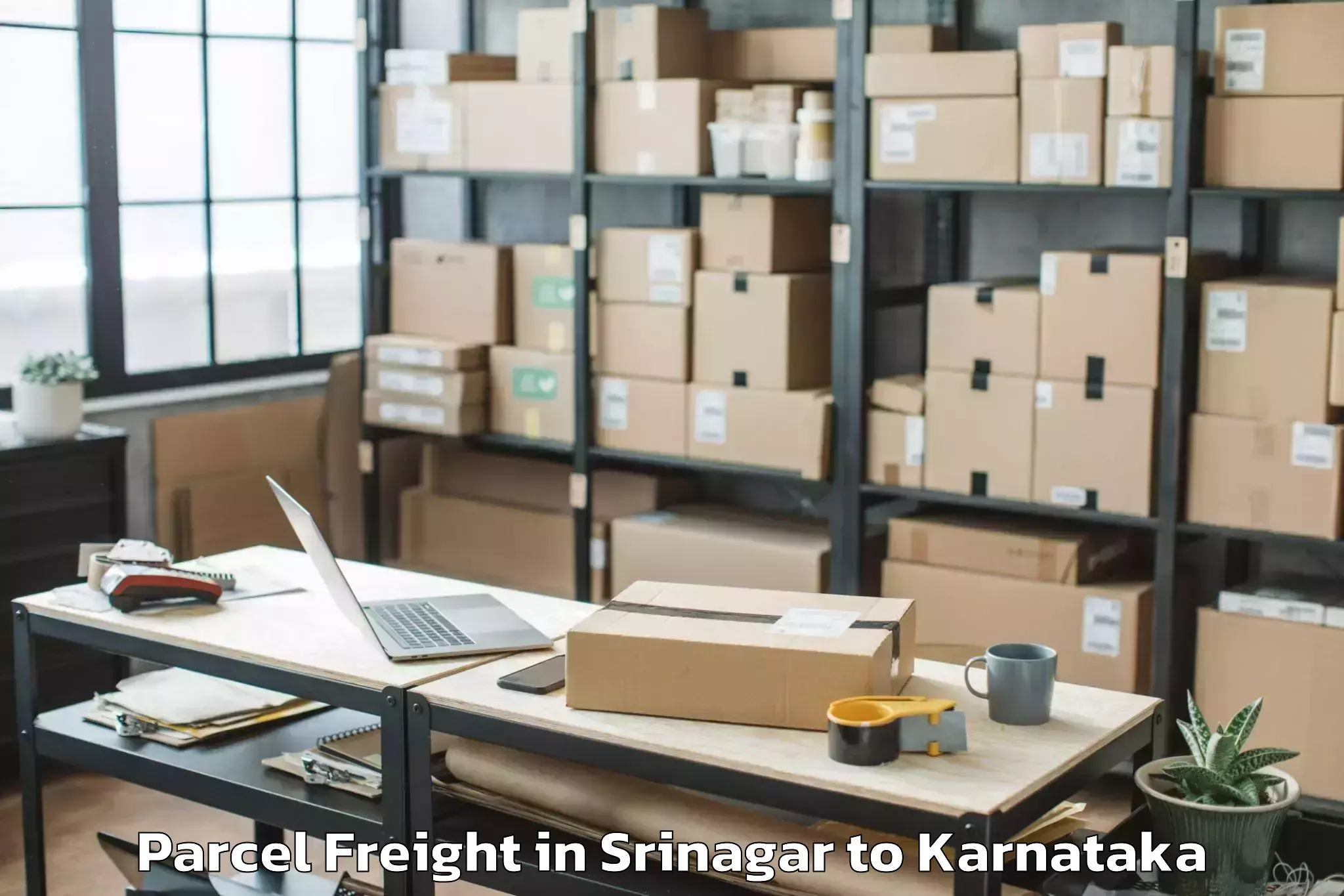 Top Srinagar to Mangaluru Parcel Freight Available